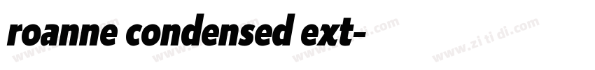 roanne condensed ext字体转换